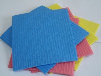 Blue Sponge Dish Cloth