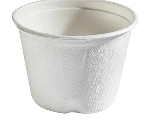 Bagasse Portion Pot 4oz